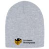 Image de Tuque sans rebord - H08005