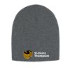 Image de Tuque sans rebord - H08005